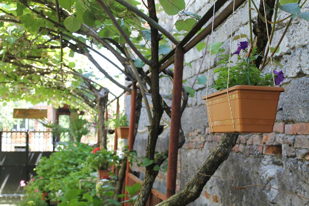 فندق The Kiwi House لاجوديخي المظهر الخارجي الصورة